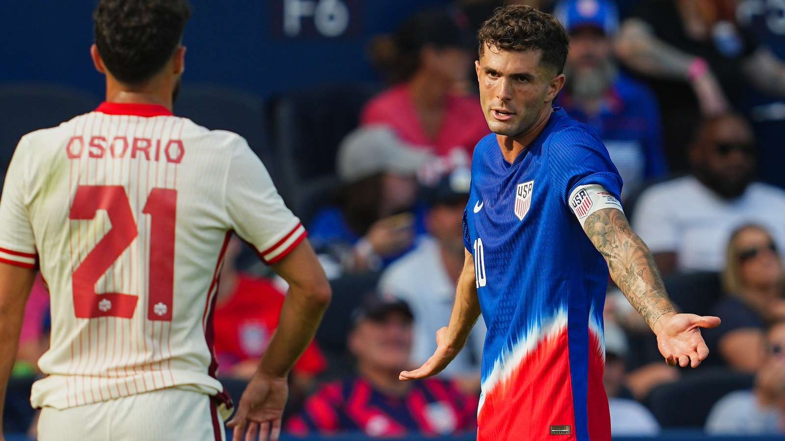 历来竞争激 历来竞争激