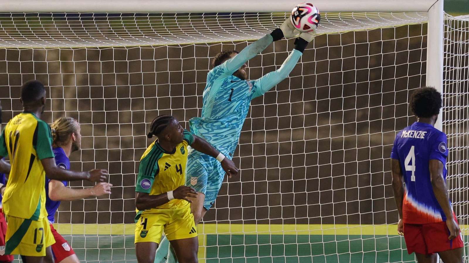 洛蒂依然无 洛蒂依然无