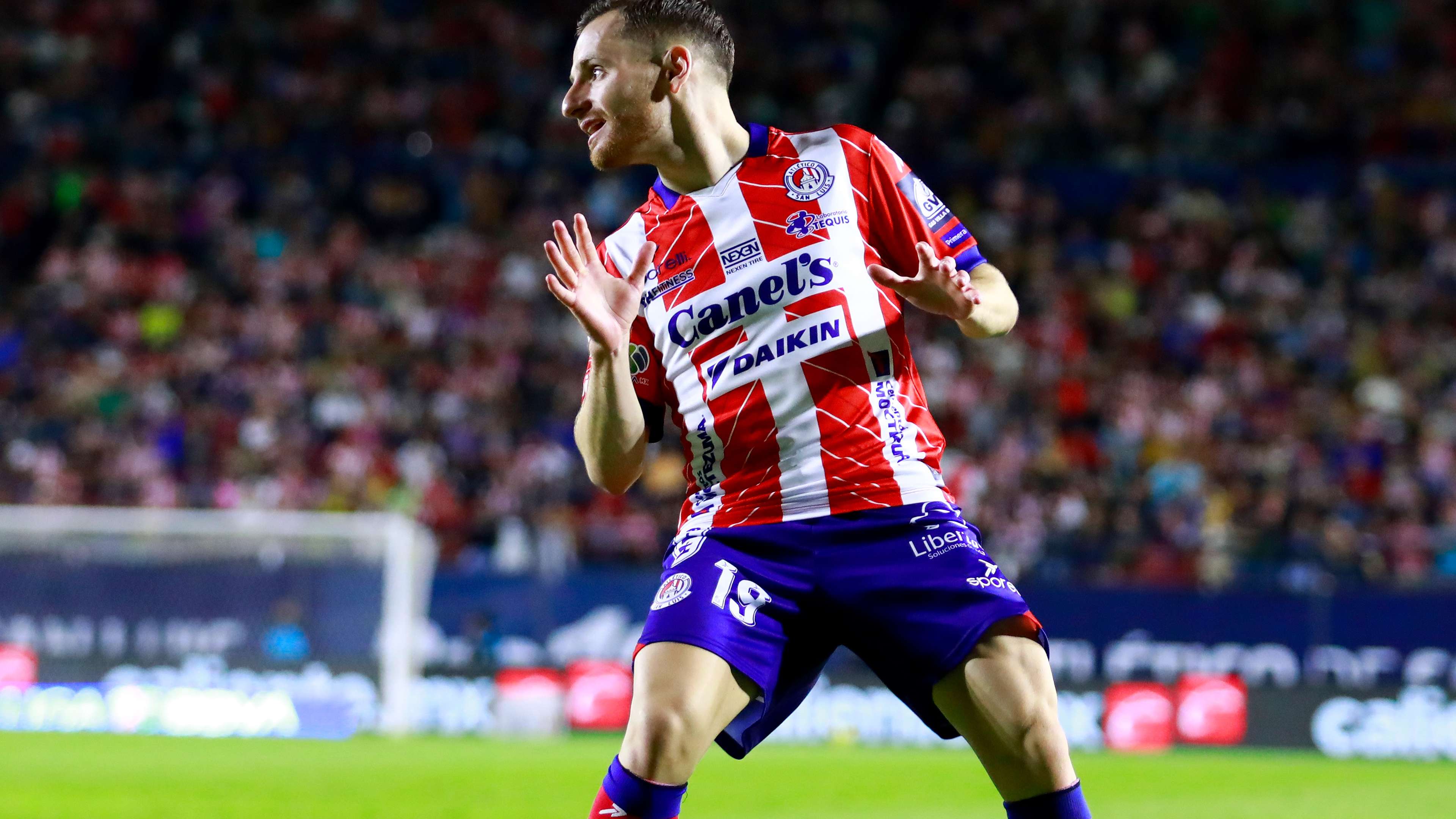 作为现任国 作为现任国